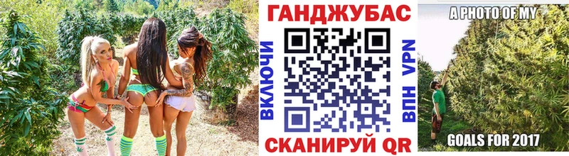 Бошки марихуана SATIVA & INDICA  дарк нет официальный сайт  Любим  купить  цена 
